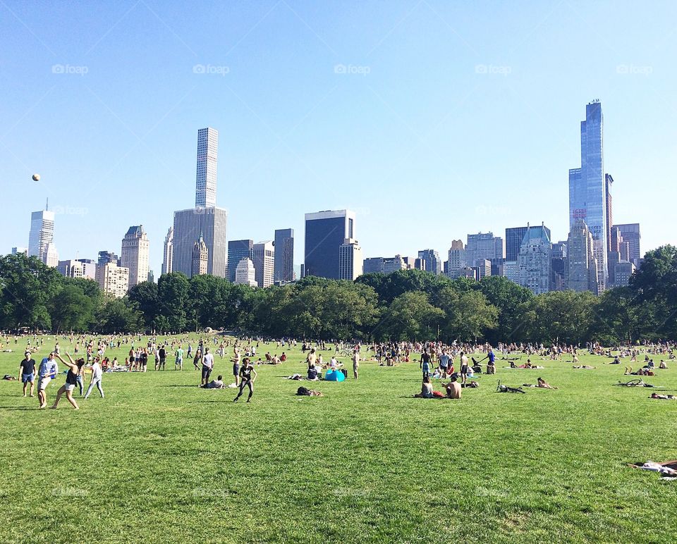Central Park in the summertime