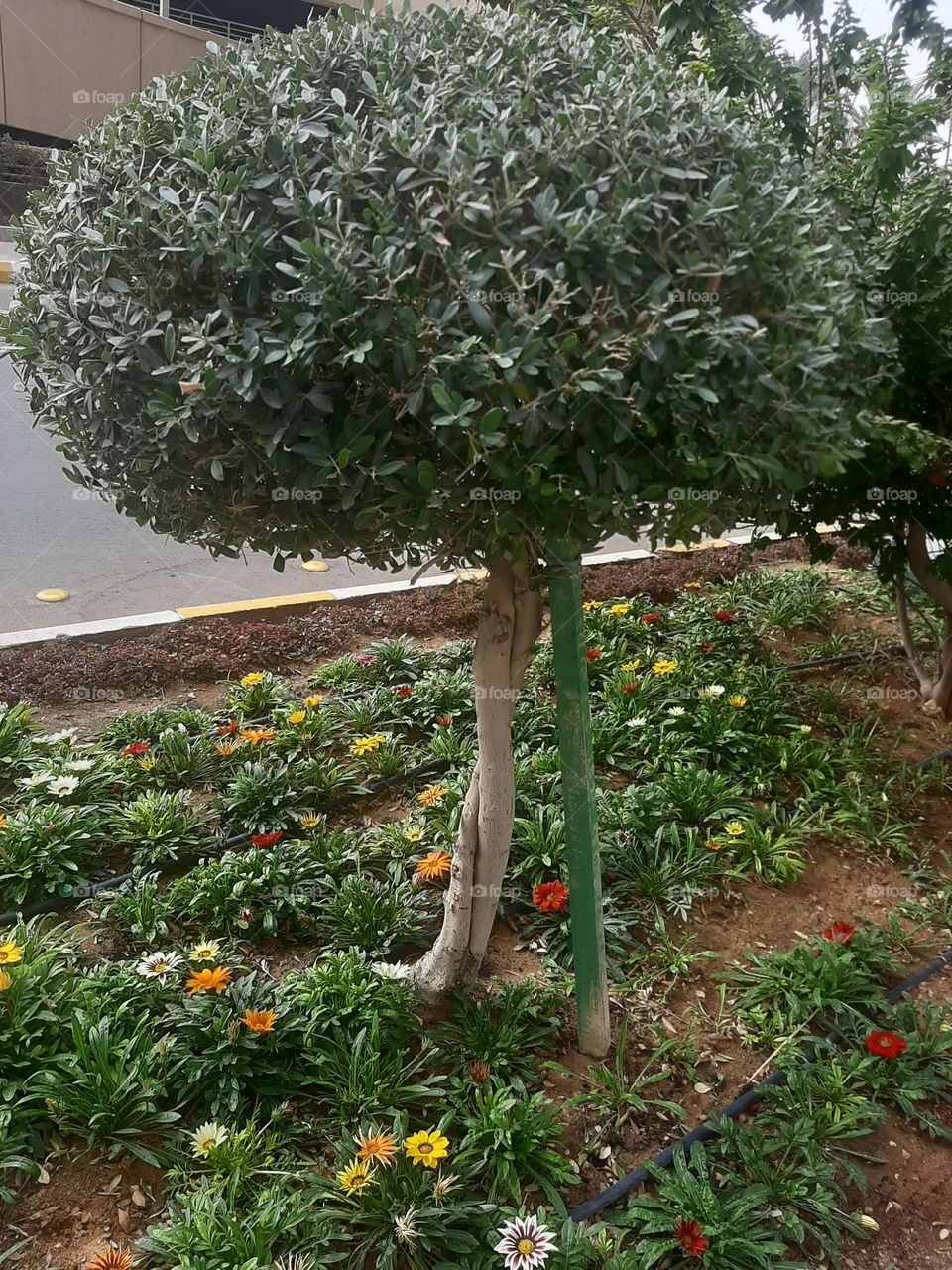 I need support I'm very poor