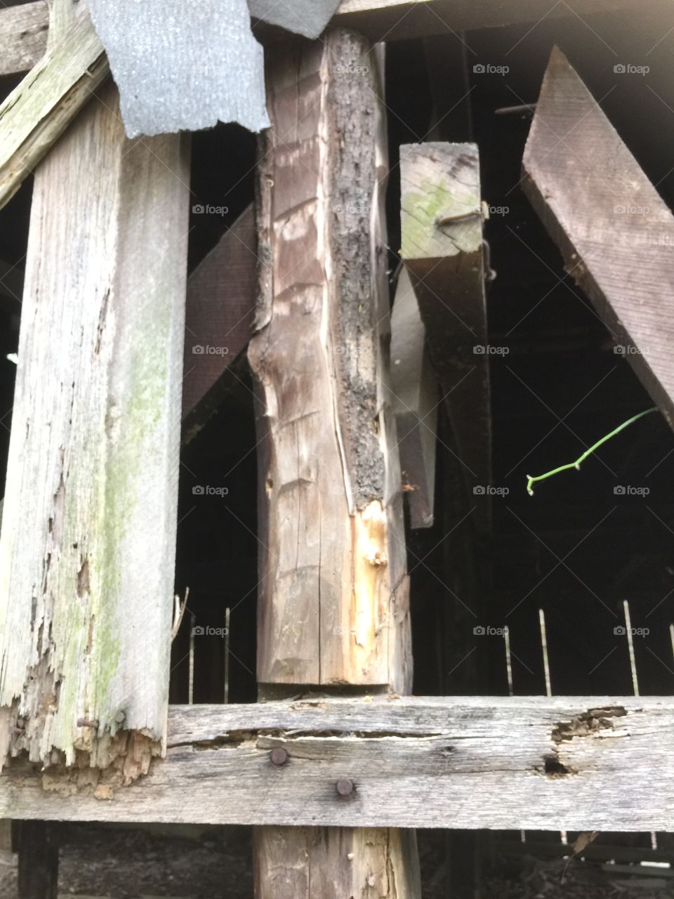 Wood barn beams