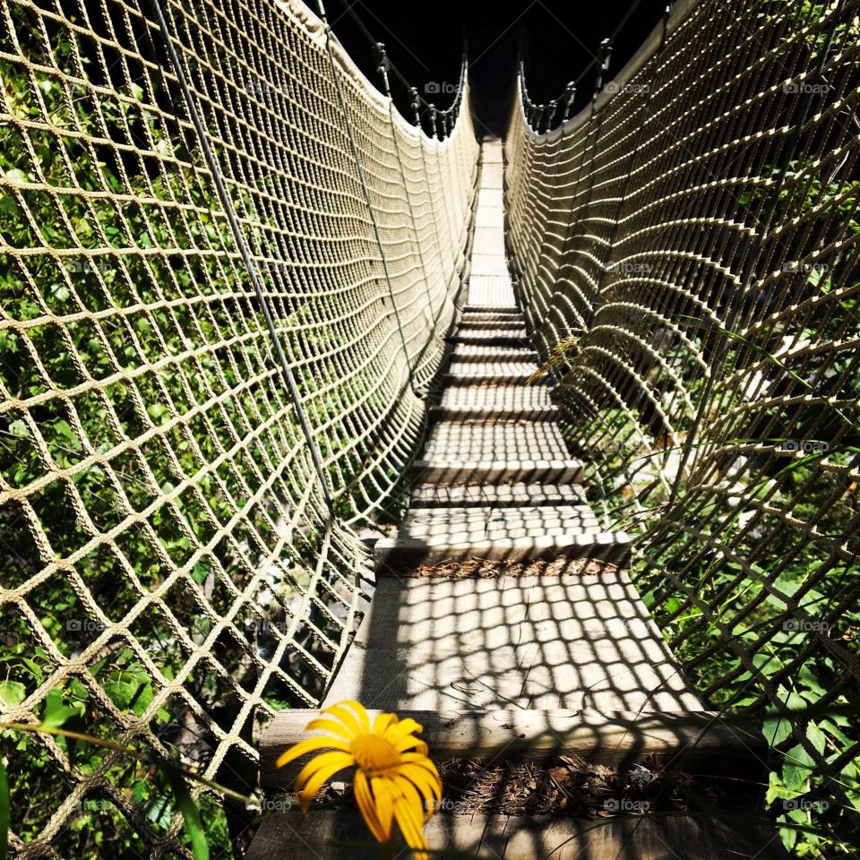 Alpine Bridge Rope Bridge