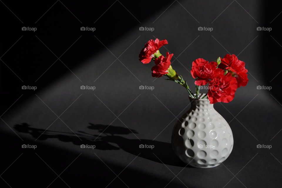 Red carnations in a vase