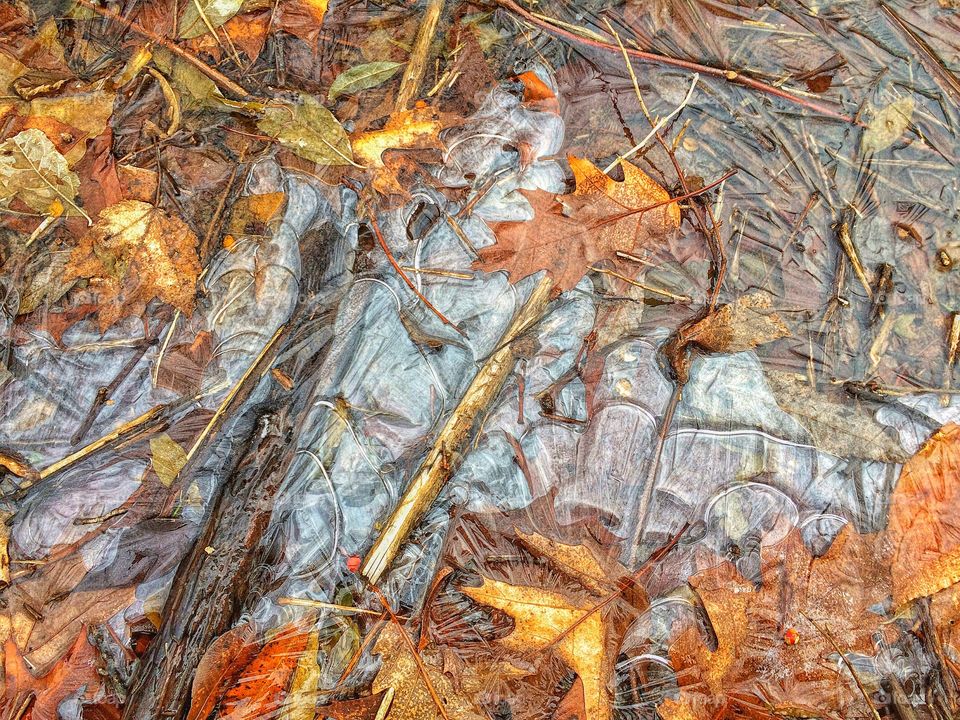 Frozen leaves at river