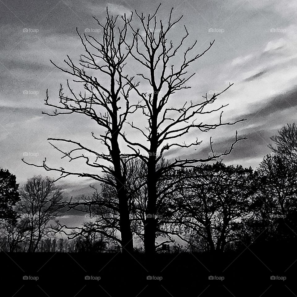 Personal relationship to ethical omni thrive ....