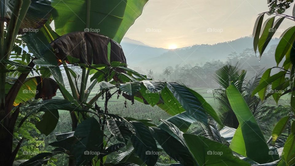 Mentari pagi telah nampak