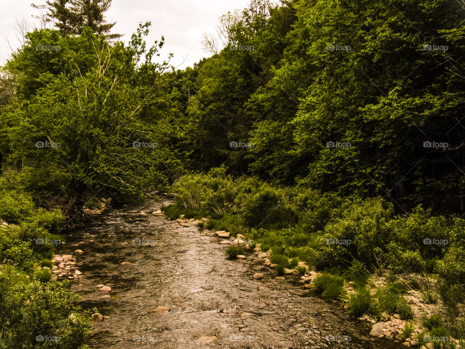 Arkville, New York, sun, sky, clouds, mountains, river, nature summer, top of the mountain , Landscape, view, panoramic view, forest, river,