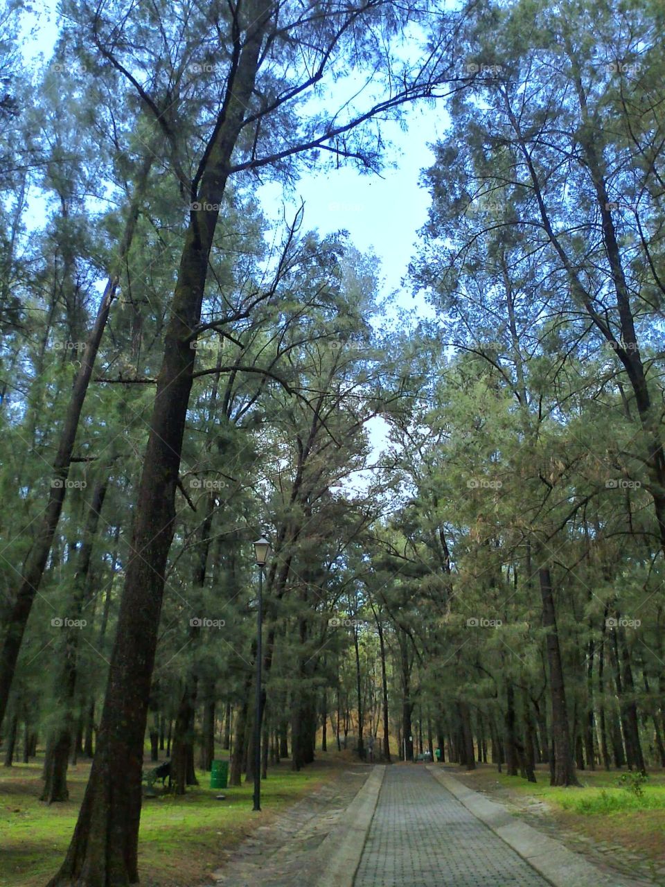 Bosque Colomos in Guadalajara.