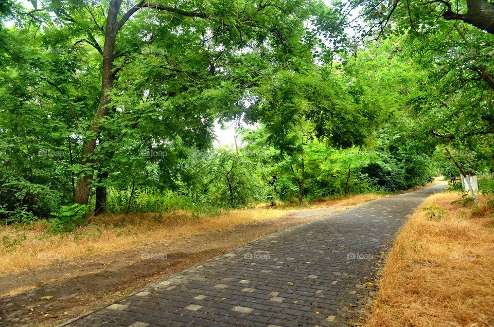 A mood’s color: green 😜