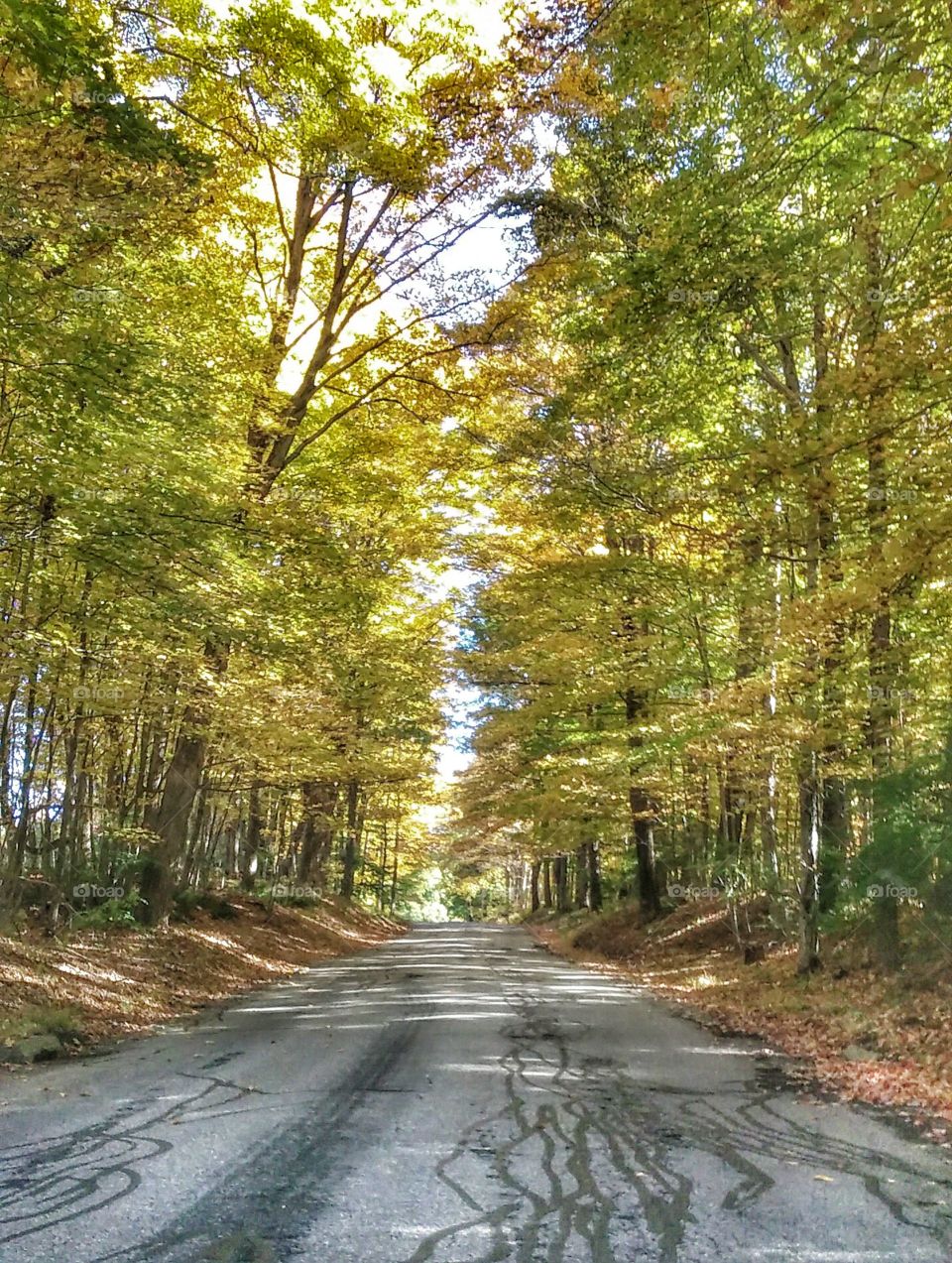 Autumn drive down a country ro. i thought this scenery was beautiful