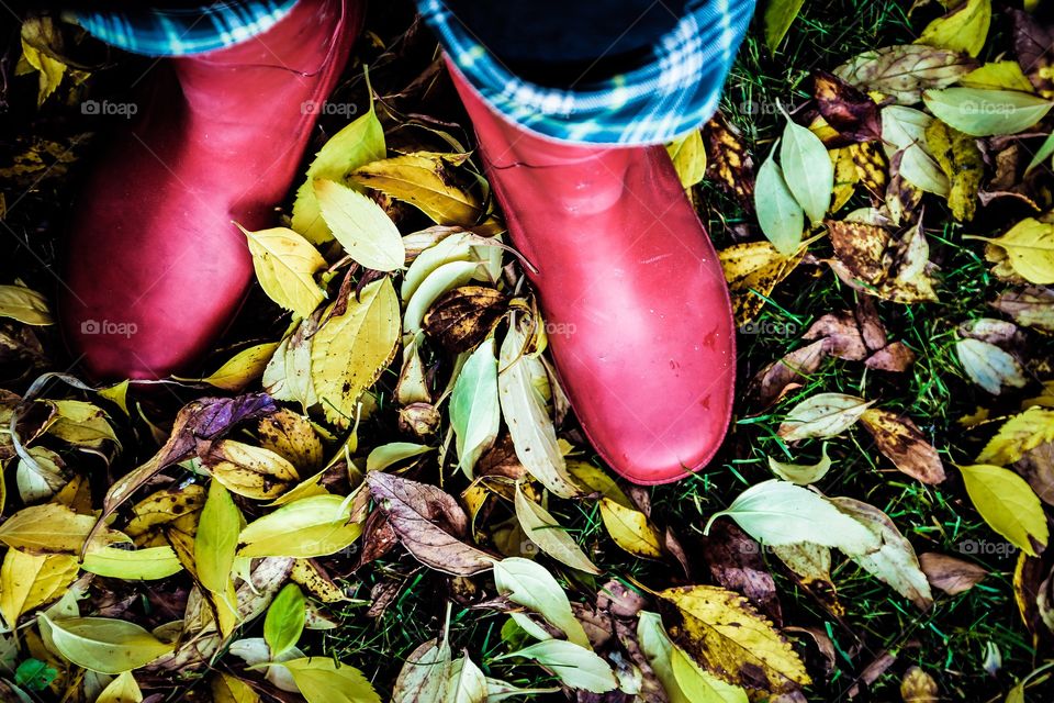 Autumn in the garden. Yellow autumn leafs and red rubber boots