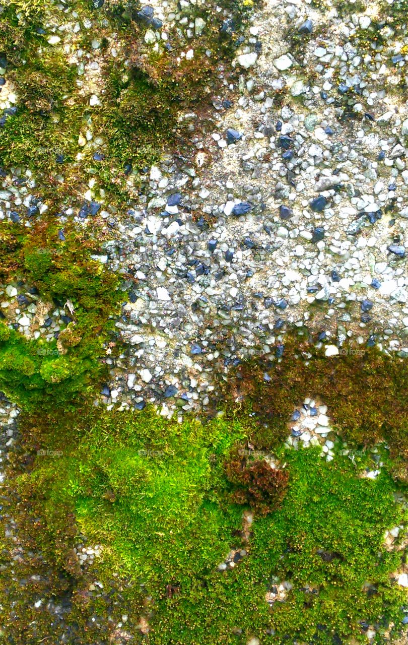 Desktop, Abstract, Texture, Pattern, Nature