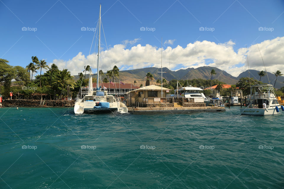 Lahaina harbor