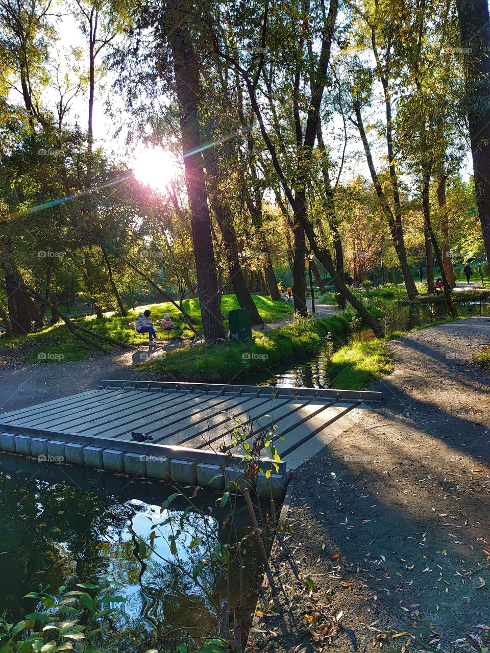 stream and autumn sun