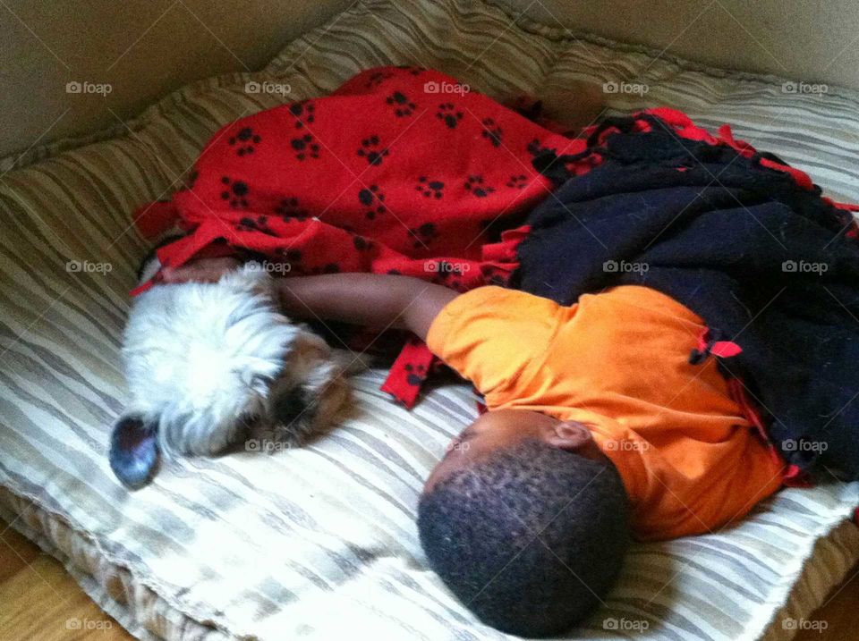 boy snuggling with dog under blanket 2 of 3