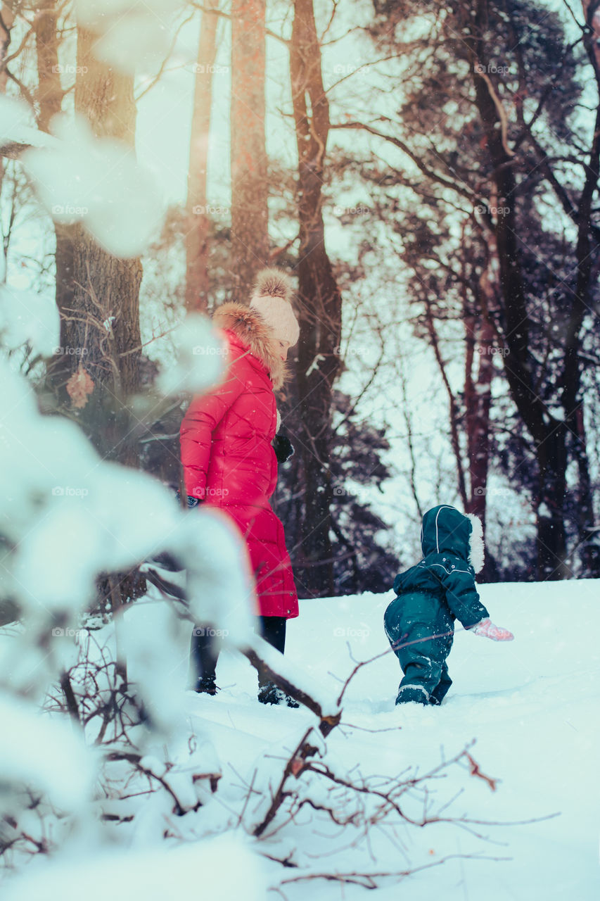 Mother and her little daughter are spending time together walking outdoors in forest in winter while snow falling. Woman is pulling sled, a few years old girl is walking through the deep snow, enjoying wintertime