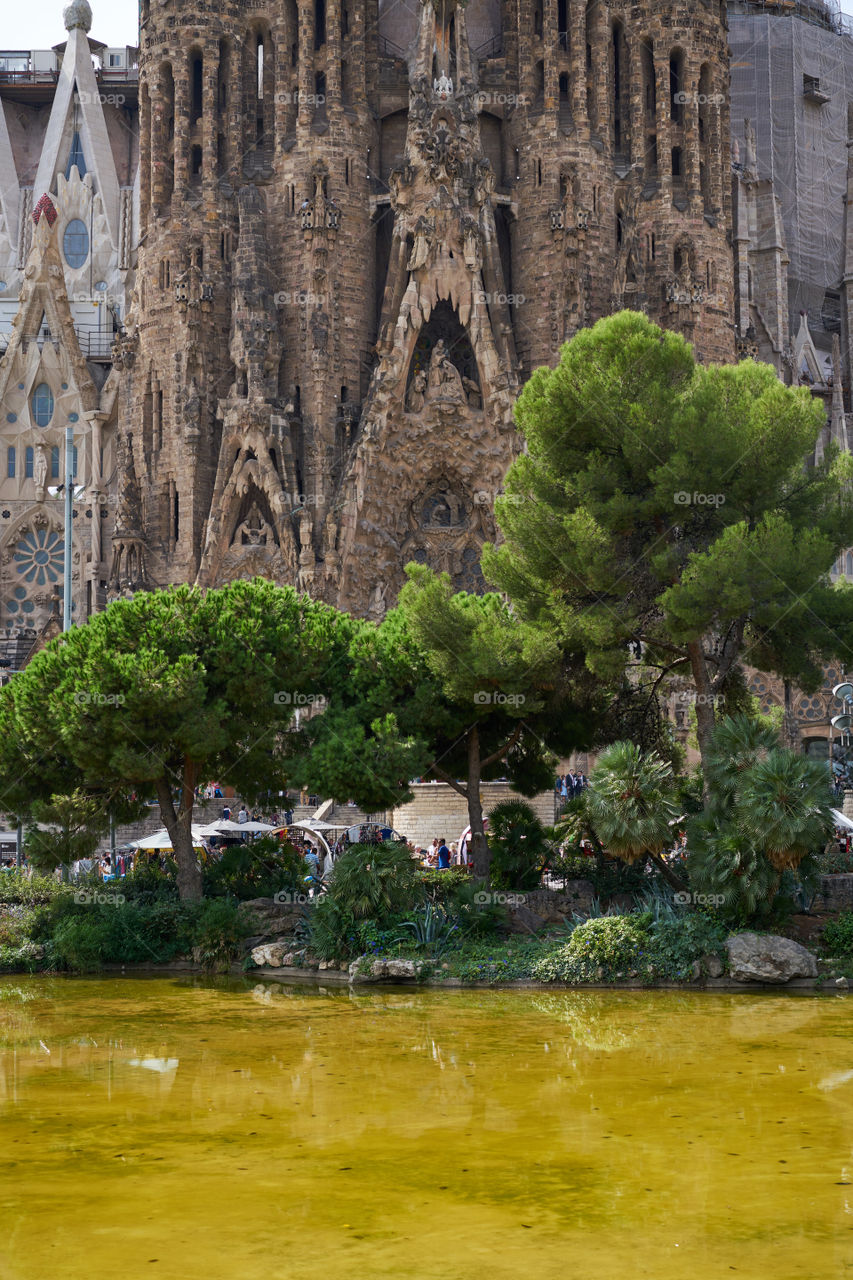 Sagrada Familia from the park beside