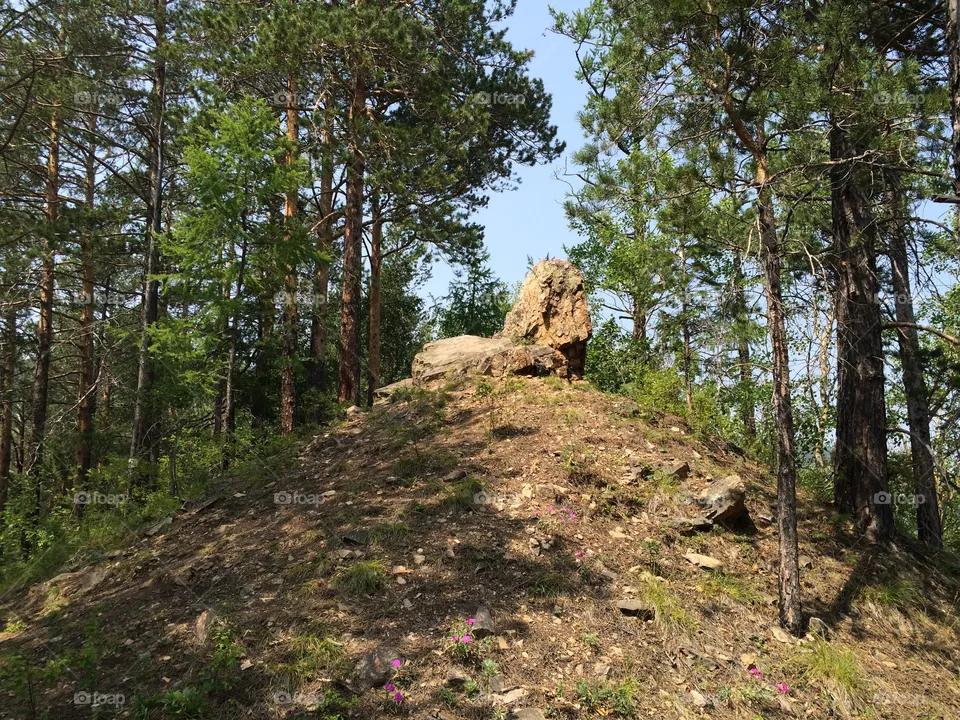 Stone