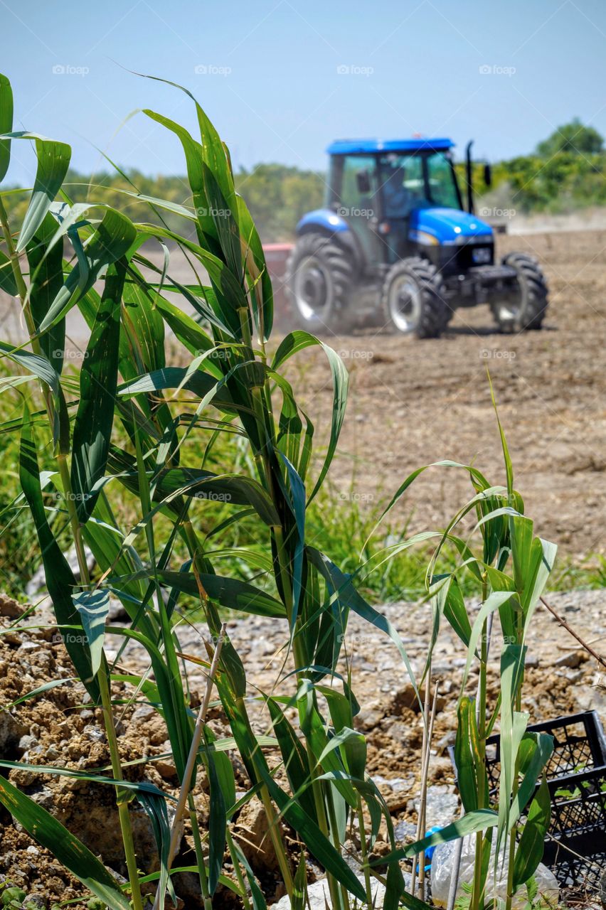 Farming