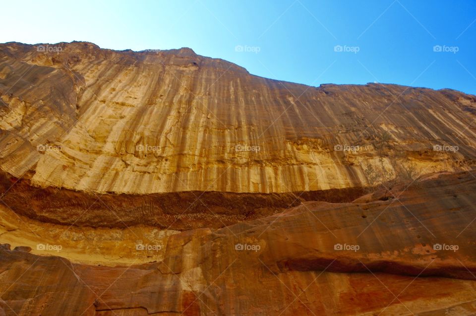 Fantastic nature. Picture taken in Petra, Jordan 