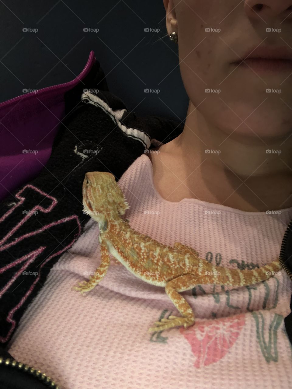 Beardie