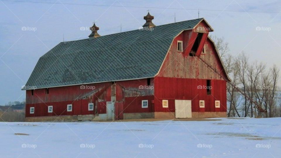 Half painted barn 