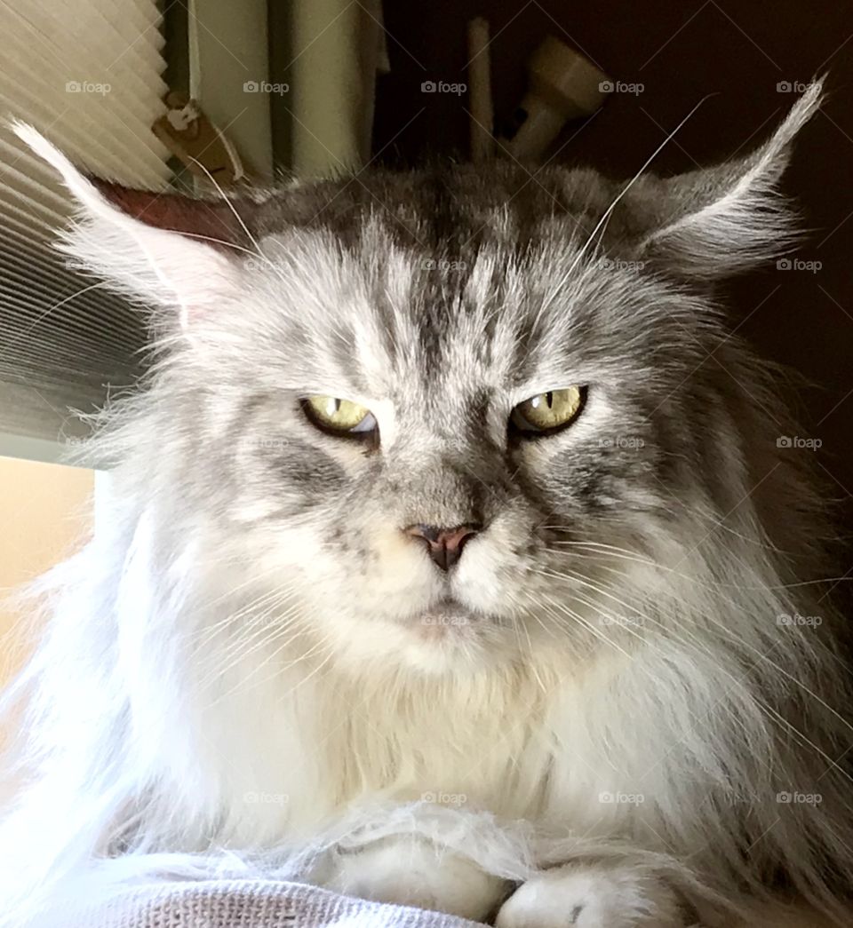 Take my picture one more time......