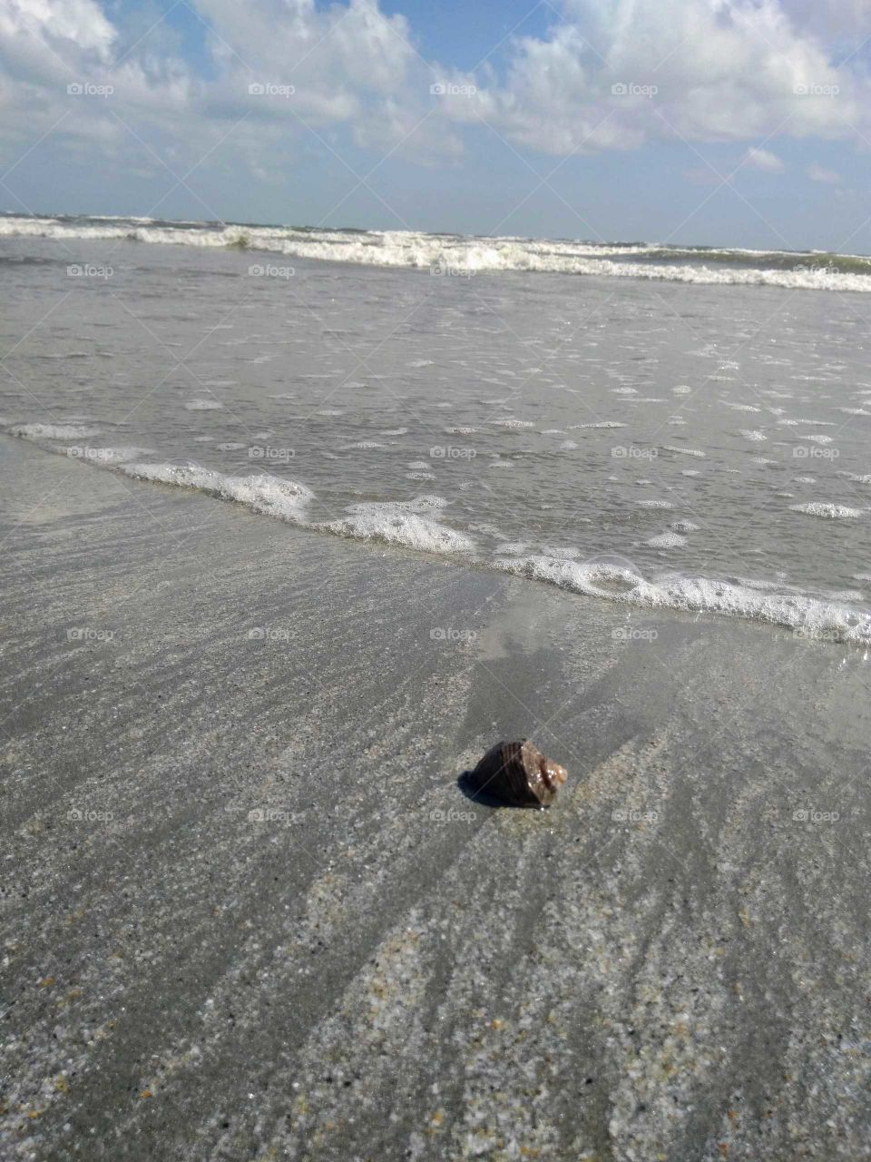 The beach and the sea