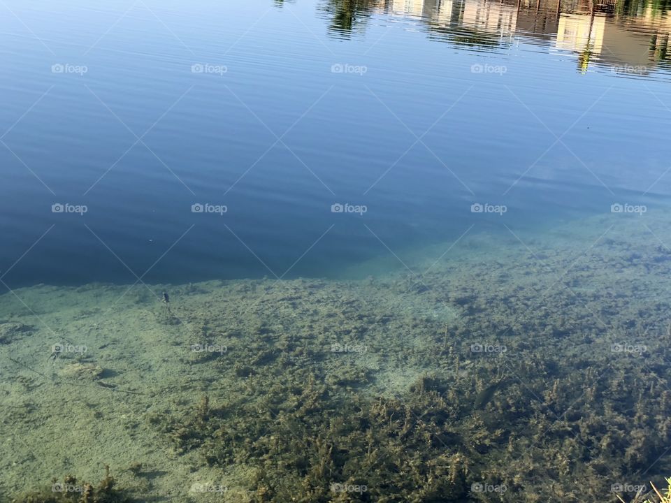 Under the blue water but above the surface