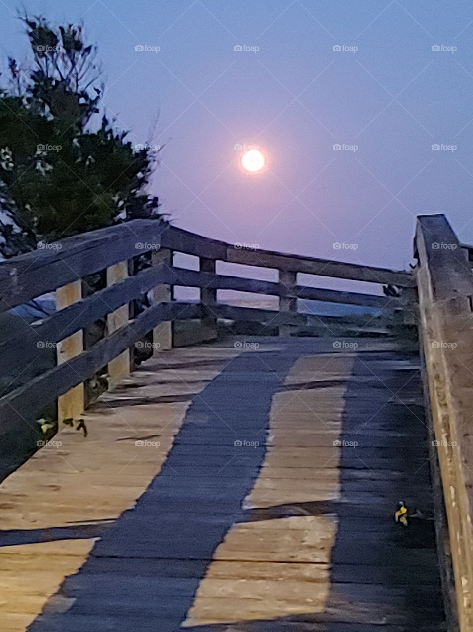Full Moon over the boardwalk