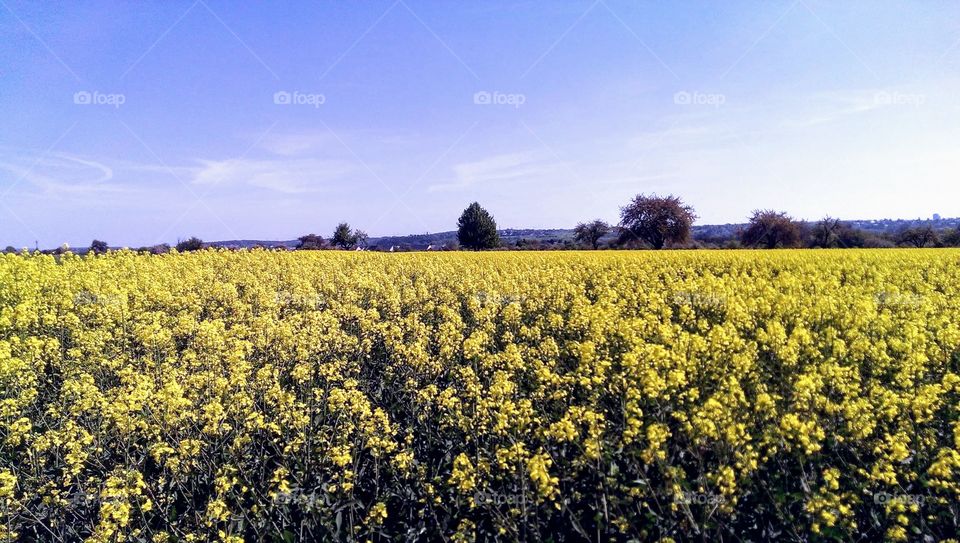 nieder eschbach Germany