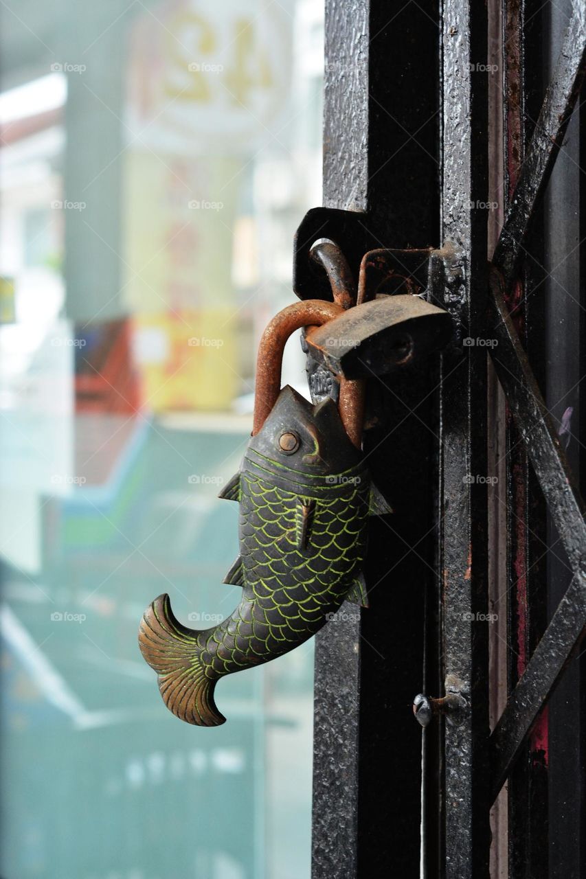 Brass Fish Shape Door Tricky Button Padlock