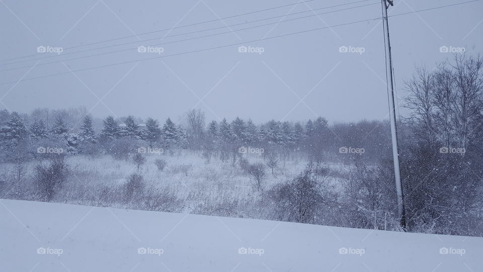 snowy field