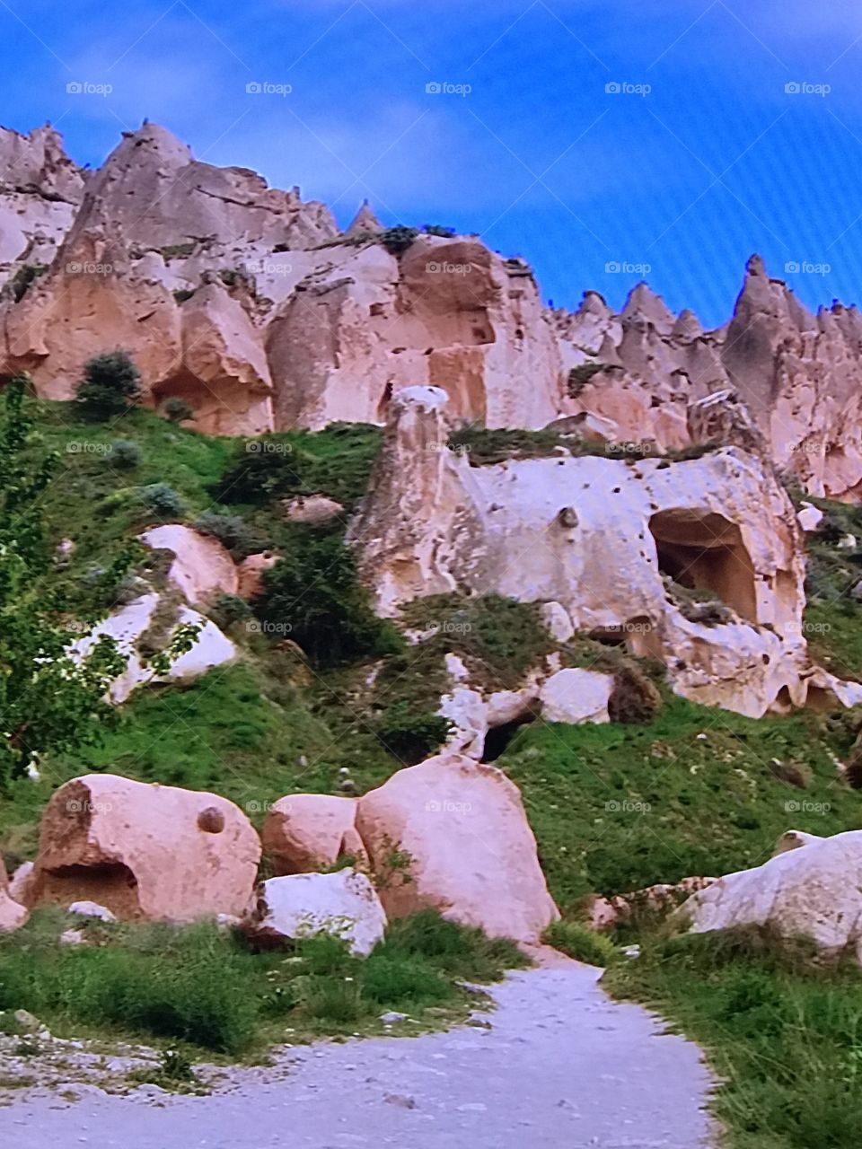 Awesome Turkey Mount