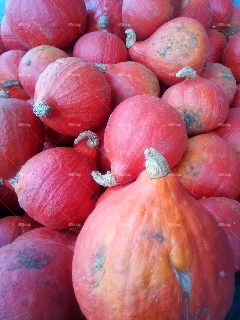 Melonen in jeder Größe,gibt eine leckere Suppe ,perfekt für diese Jahreszeit,viel Vitamin