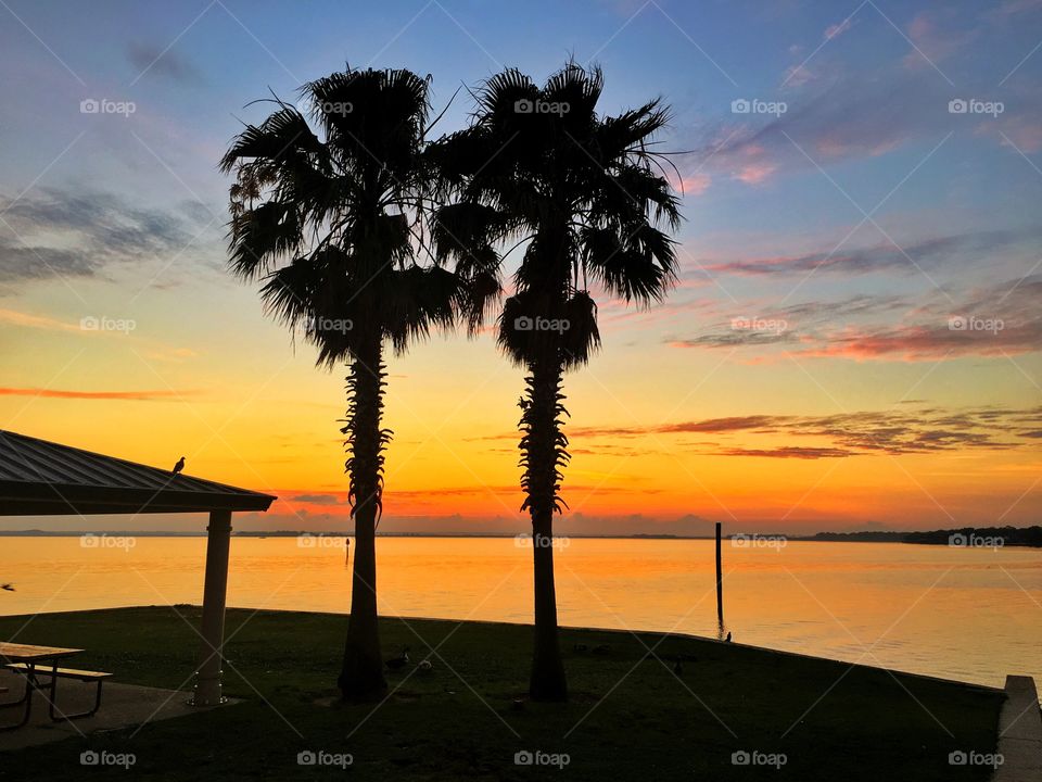 Sunset, Beach, Sun, Dawn, Water