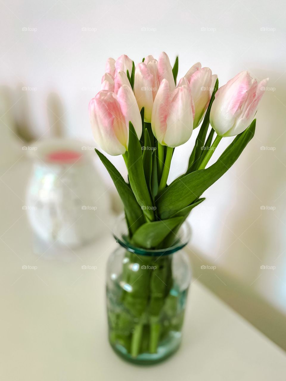 Beautiful pink and white tulips in glass vase 