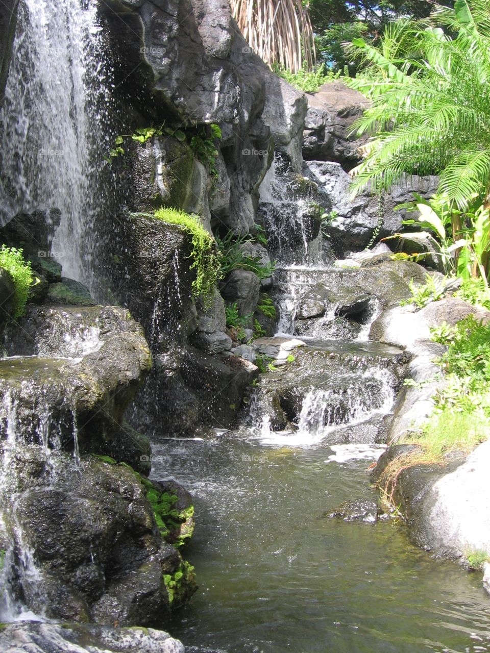 Waterfall in Oahu Hawaii