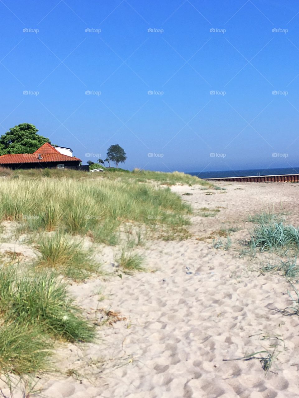 sunny day at the beach