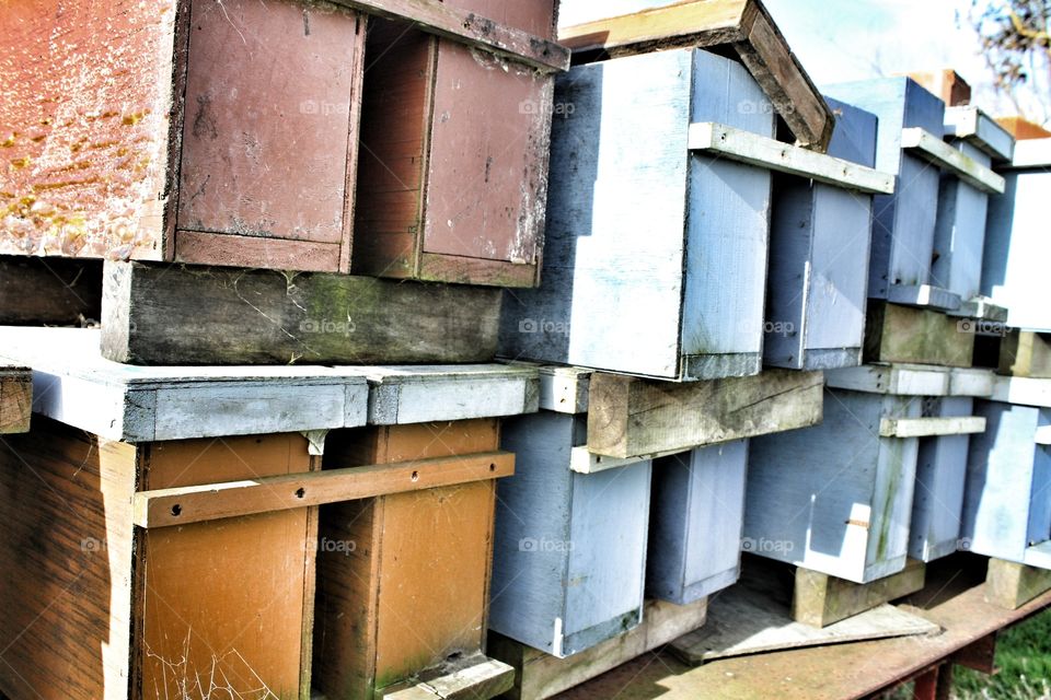 Bee Hive Boxes