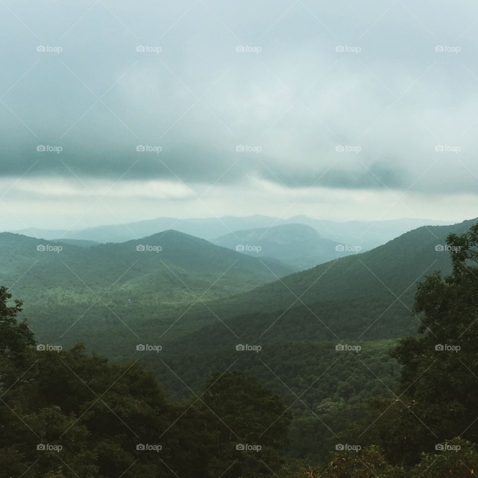 Blue Ridge . 14 people and 10 dogs spent the weekend in the mountains. 