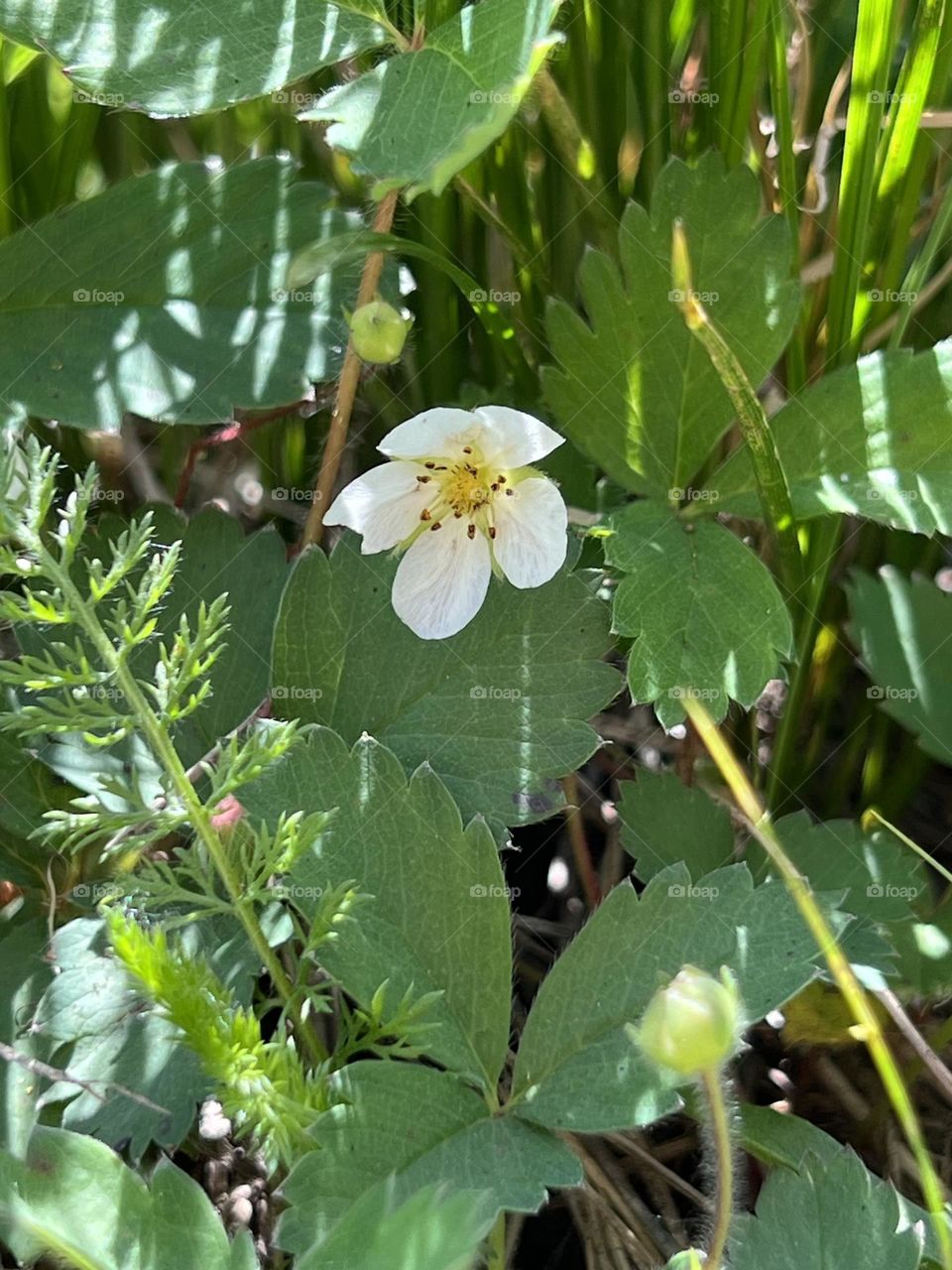 Beauty in the wildest places 