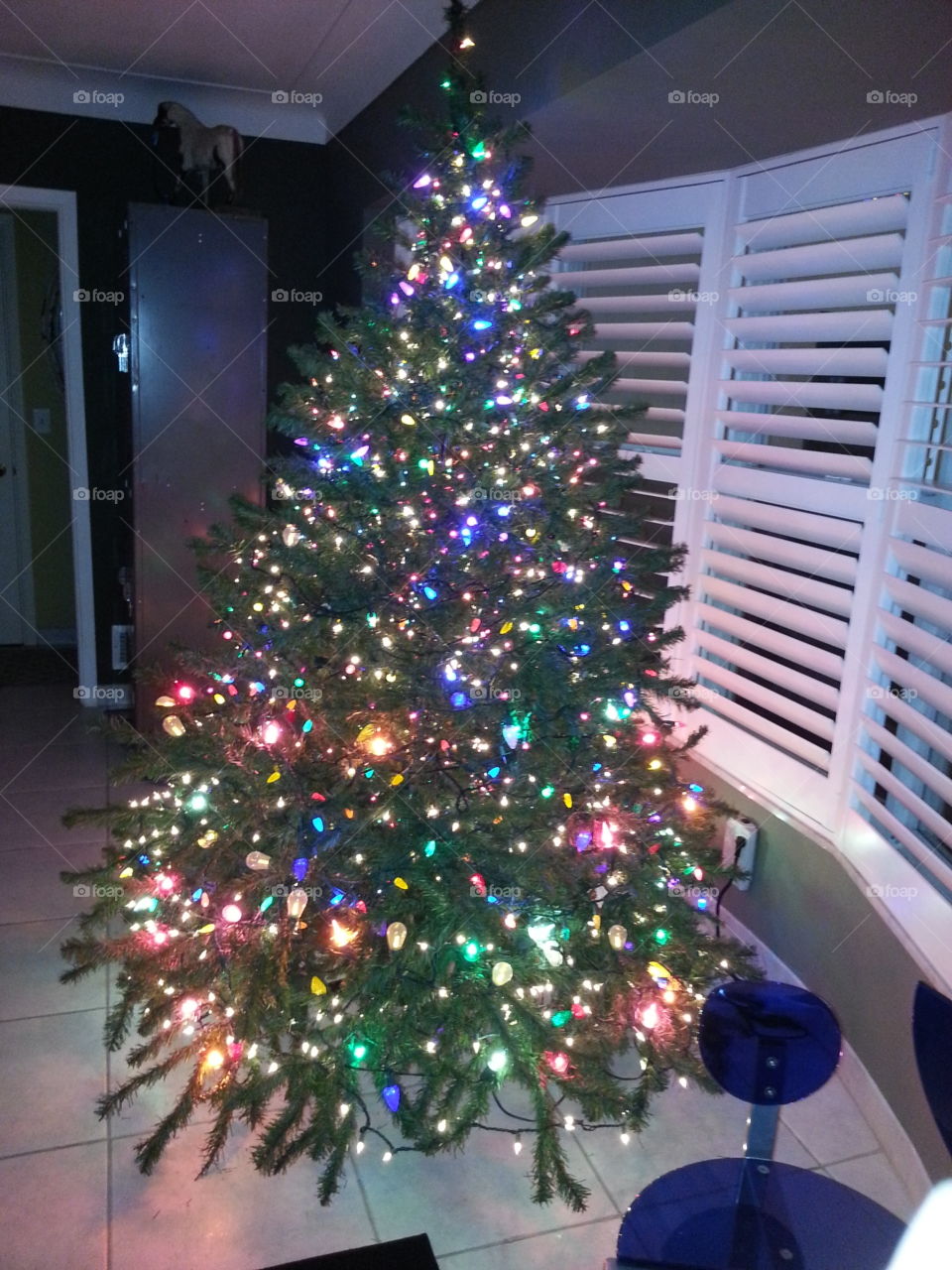 Christmas tree in Fort Lauderdale