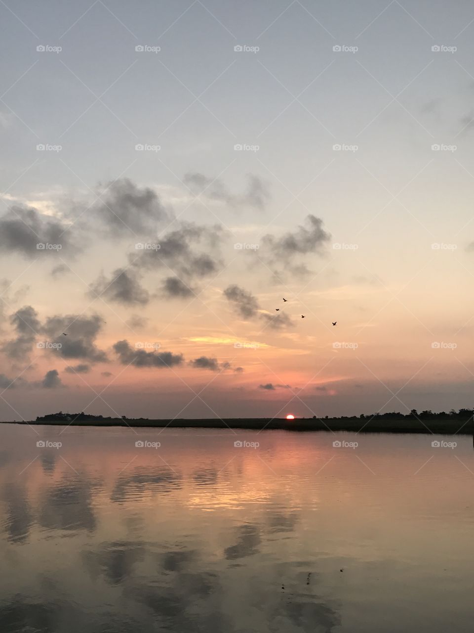 Sunrise with birds 