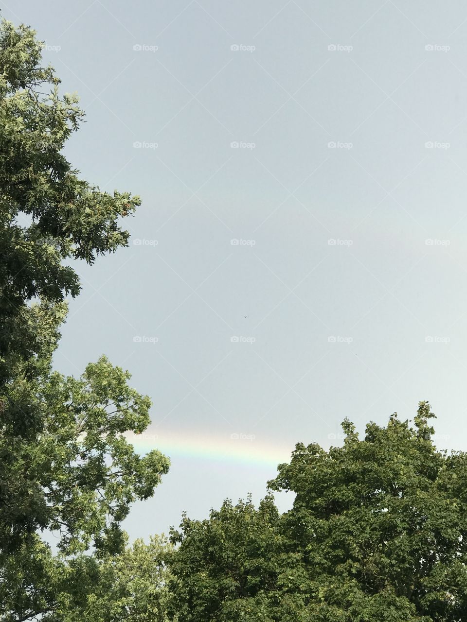 The luck of a rainbow