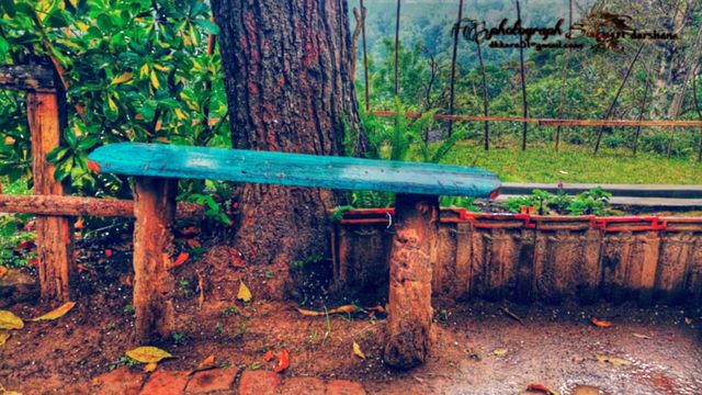 the table