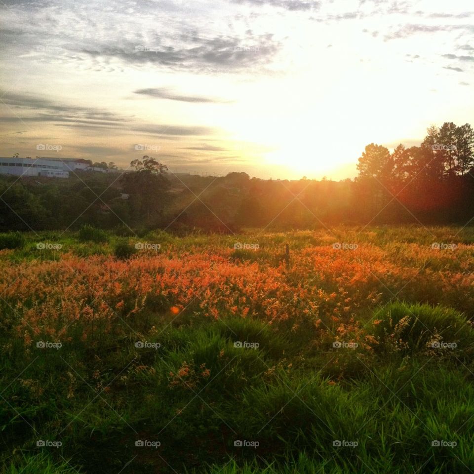 Uma linda paisagem de Jundiaí (Brasil), mostrando o amanhecer tão bonito da nossa terra. 