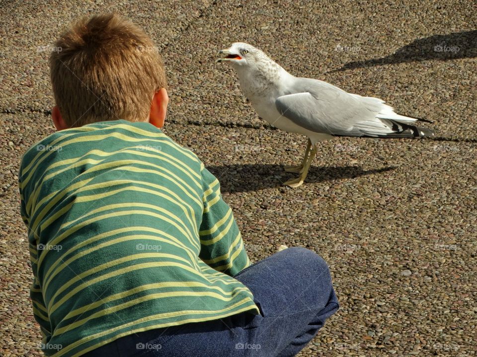 Boy Feeding Birds