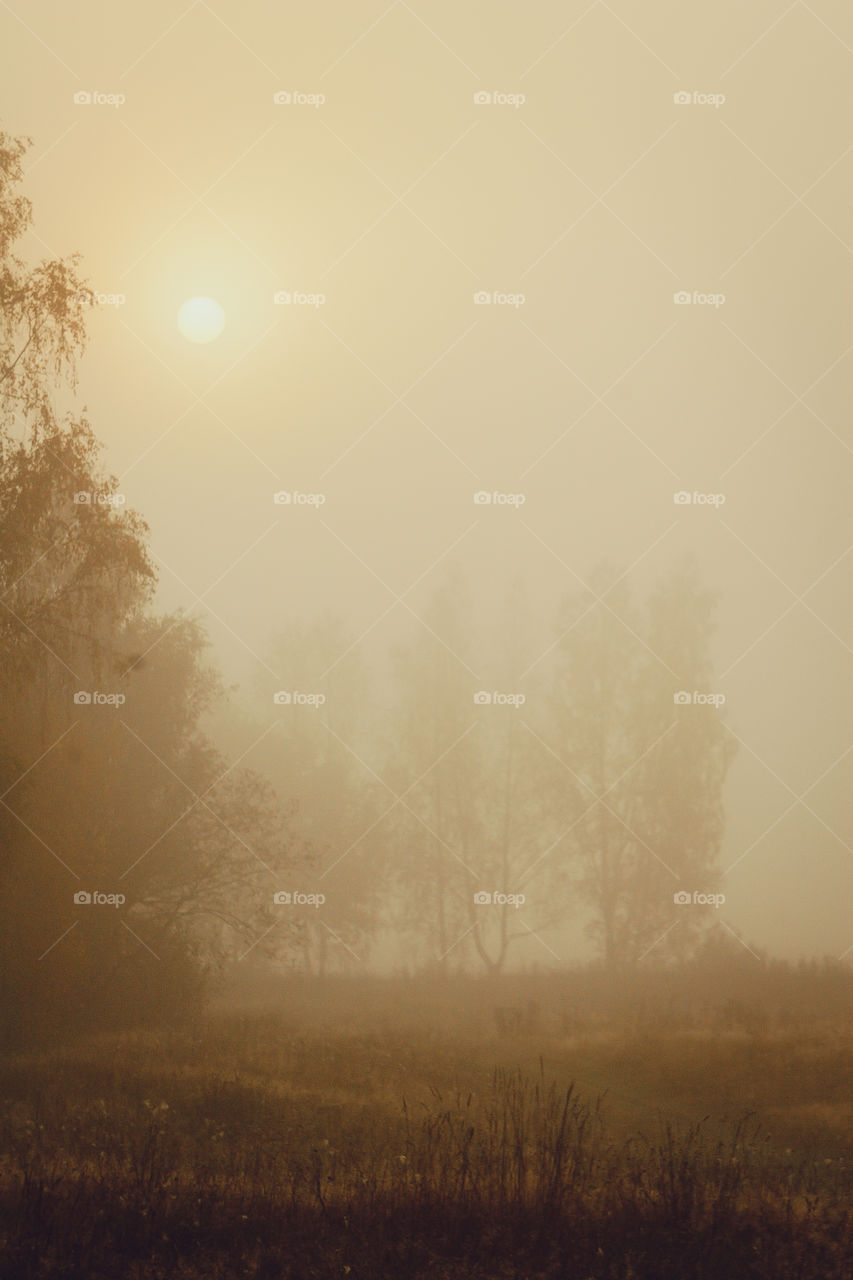 Autumn misty landscape at early morning 