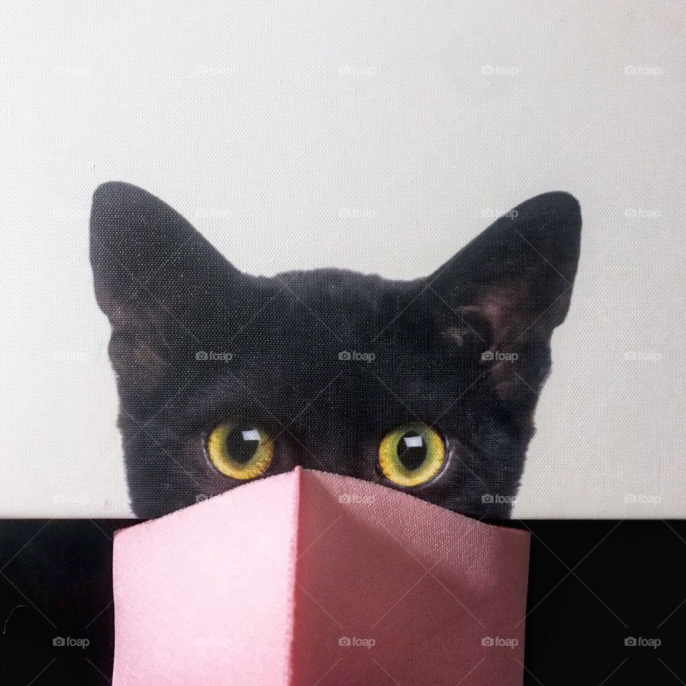 Black kitty with a pink mask!