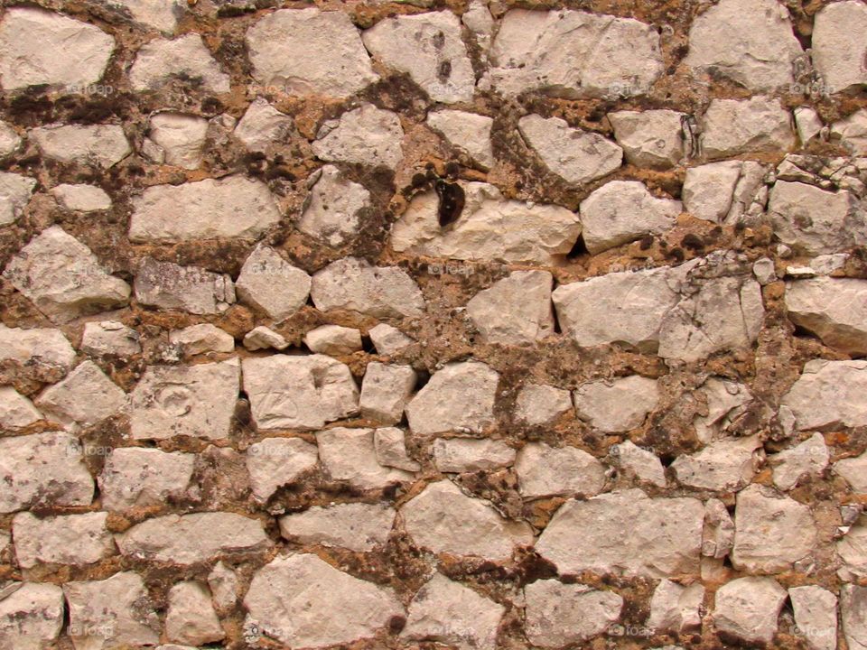 wall