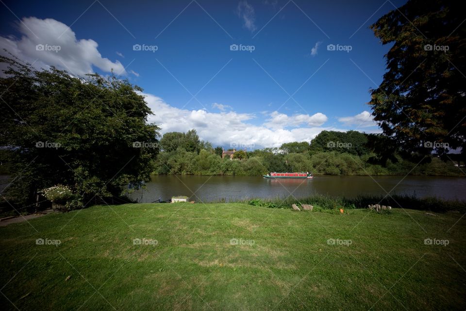 Landscape, No Person, Tree, Grass, Nature